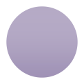ridge-keycase-lavender option