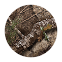 ridge-wallet-realtree-apx option