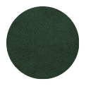 ridge-biflex-hunter-green-leather option